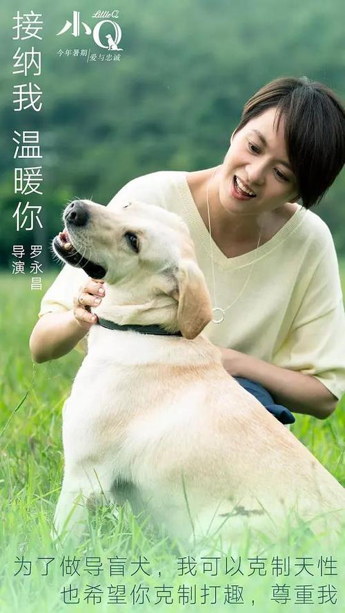 University of Wollongong商科文凭证书